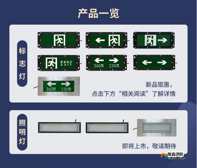 海灣IP65系列高防護燈具產(chǎn)品